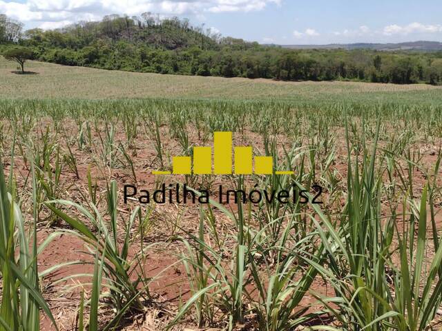 Fazenda para Venda em Ribeirão Preto - 4