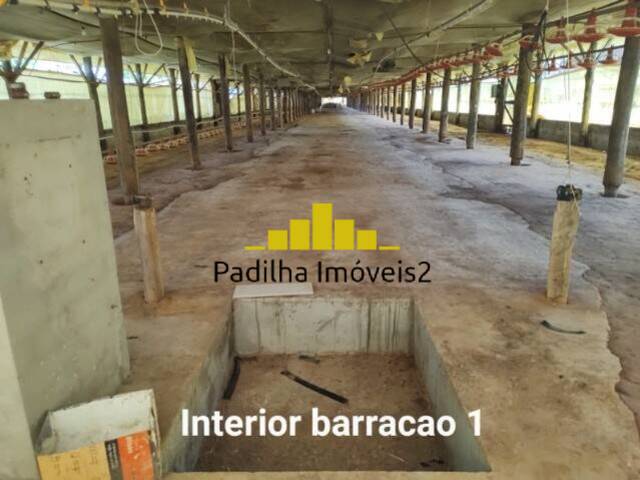 #122 - Chácara para Venda em Itapetininga - SP - 3