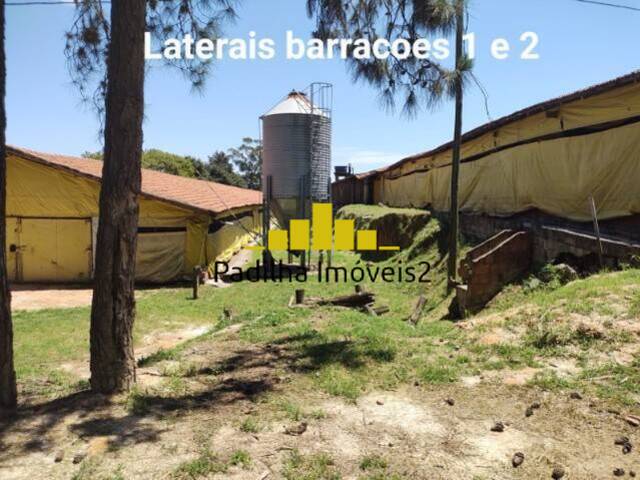 Chácara para Venda em Itapetininga - 4