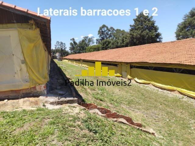 Chácara para Venda em Itapetininga - 5