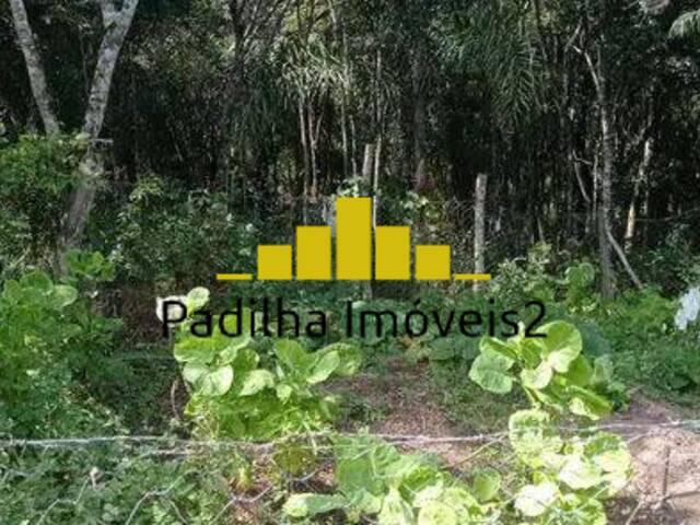 Sítio para Venda em Piedade - 5