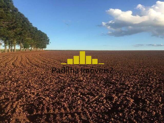 #343 - Fazenda para Venda em Itapetininga - SP - 2