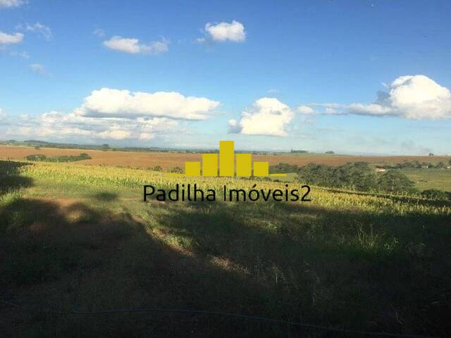 #343 - Fazenda para Venda em Itapetininga - SP - 3