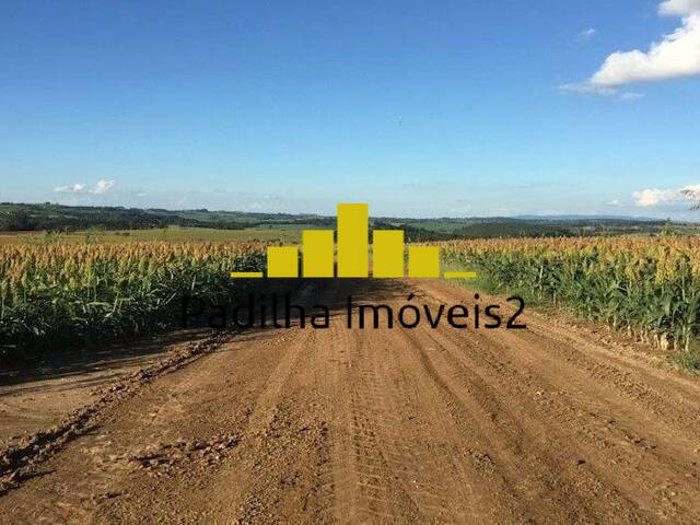 Fazenda para Venda em Itapetininga - 4