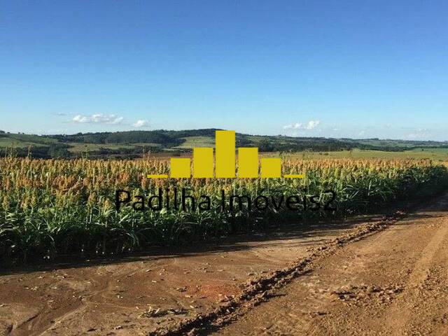 Fazenda para Venda em Itapetininga - 5