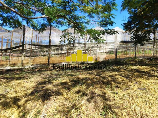 #690 - Fazenda para Venda em Itapetininga - SP - 2