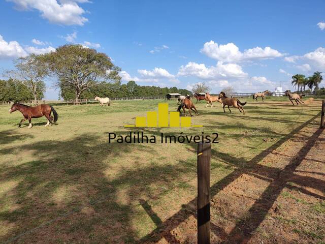#692 - Fazenda para Venda em Itapetininga - SP - 3