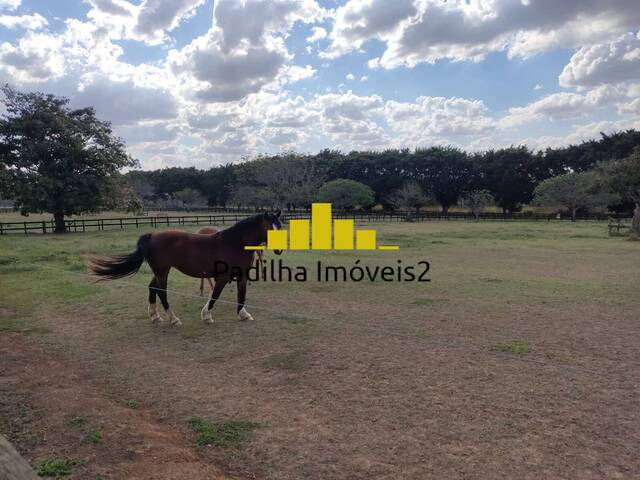 #692 - Fazenda para Venda em Itapetininga - SP - 1