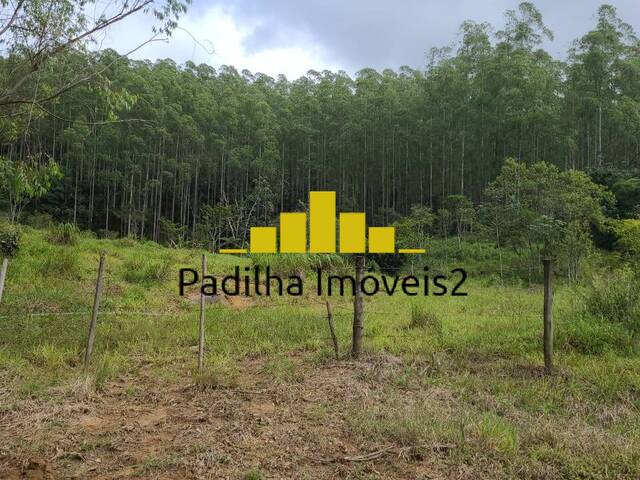 #696 - Fazenda para Venda em Guaratinguetá - SP - 2