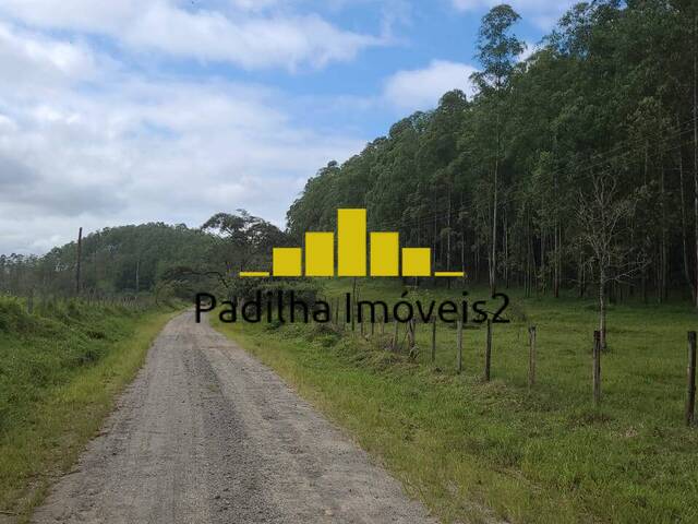 #696 - Fazenda para Venda em Guaratinguetá - SP - 3