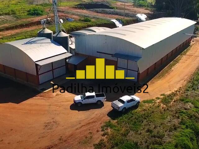 Fazenda para Venda em São Sebastião da Grama - 4