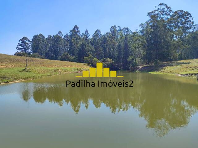 #858 - Sítio para Venda em Itapetininga - SP - 3